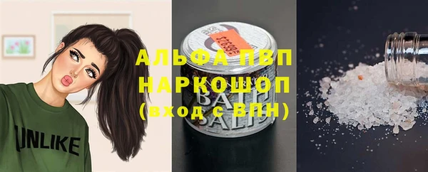 PSILOCYBIN Кодинск