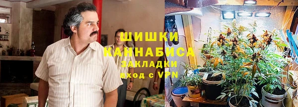 2c-b Пестово