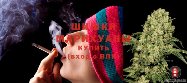 PSILOCYBIN Кодинск