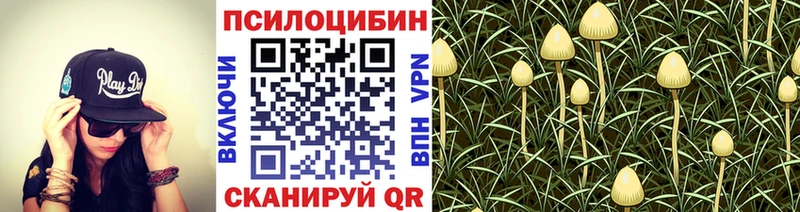 Псилоцибиновые грибы ЛСД  MEGA вход  Мелеуз 